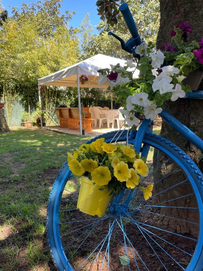 Appartamento In Villa Con Giardino Vicino Al Mare Bella Farnia Bagian luar foto